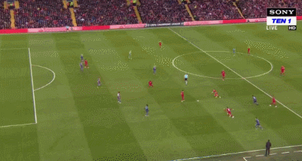 torzsi推荐的明日之星xelex何许人也？