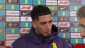 莱昂纳多